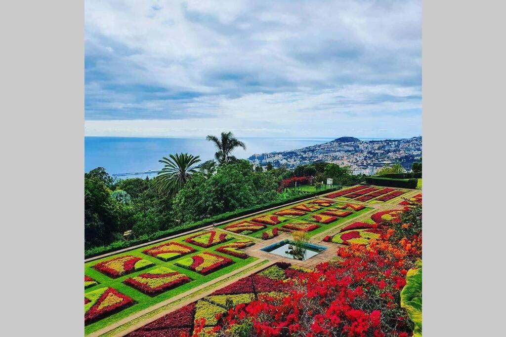 Funchal Center Apartment II Экстерьер фото